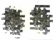 Show details for ROUND STAINLESS STEEL BRUSH FIT IN 10S Picture of ROUND STAINLESS STEEL BRUSH FIT IN 10S